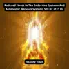 Healing Vibes - Autonomic Nervous Systems 528 Hz +111 Hz - Single
